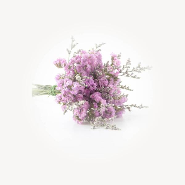 Flower 2